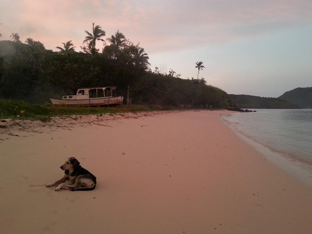 Yasawa Homestays Naisisili Buitenkant foto