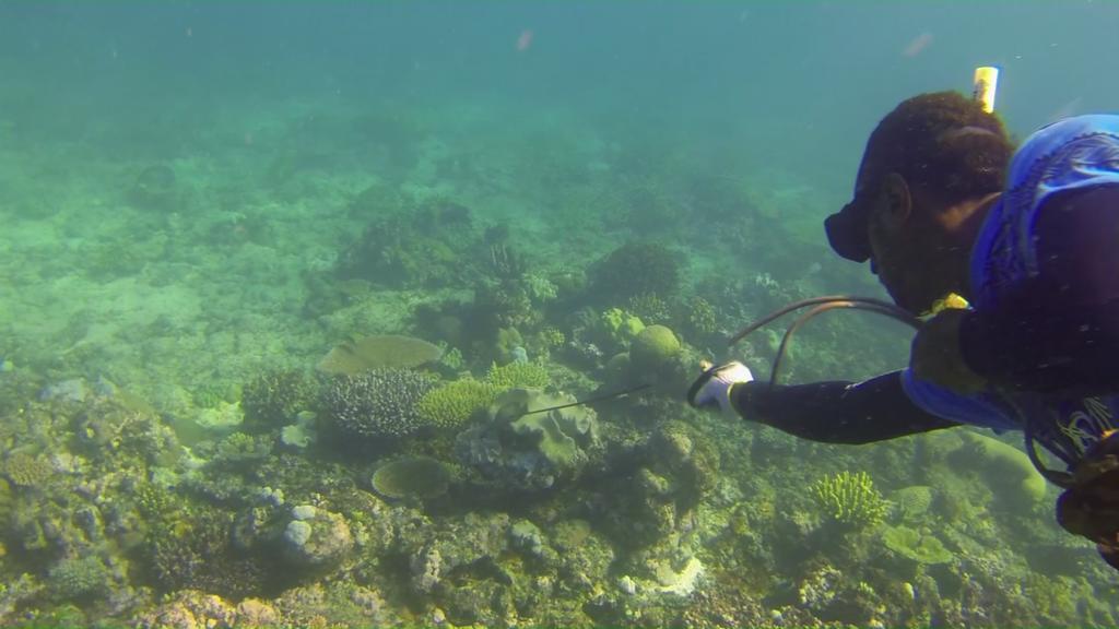 Yasawa Homestays Naisisili Buitenkant foto